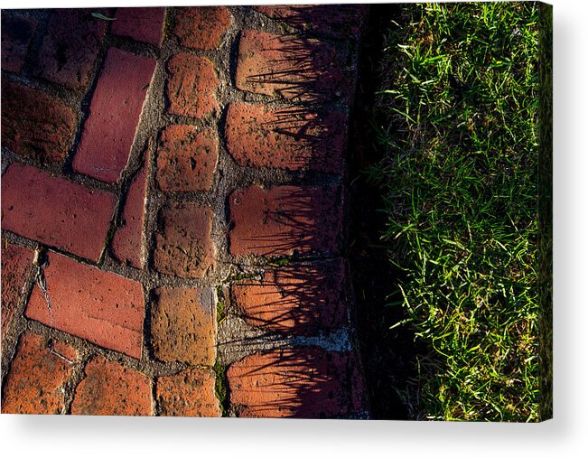 Bricks Acrylic Print featuring the photograph Brick Path in Afternoon Light by Derek Dean