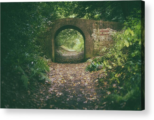 Arch Acrylic Print featuring the photograph Bridge in the woods by James Billings