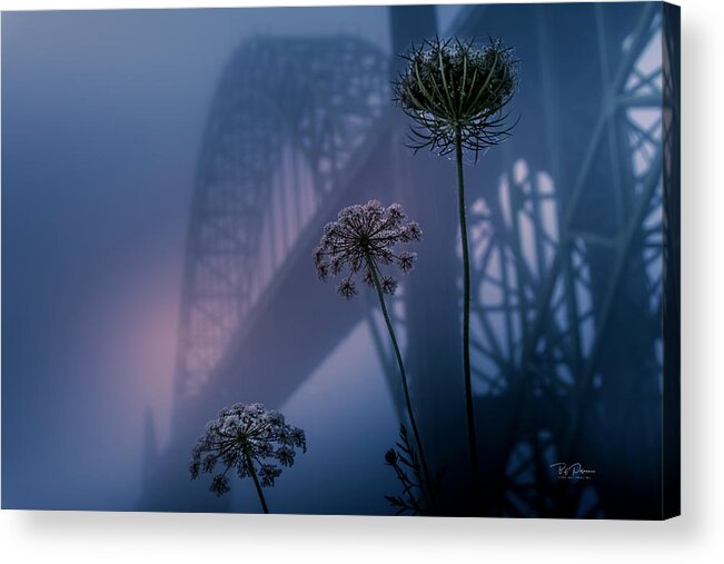 Bridge Acrylic Print featuring the photograph Bridge Scape by Bill Posner
