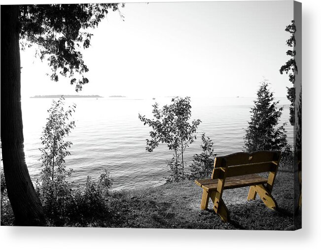 Bright Bay Bench Acrylic Print featuring the photograph Bright Bay Bench by Dylan Punke