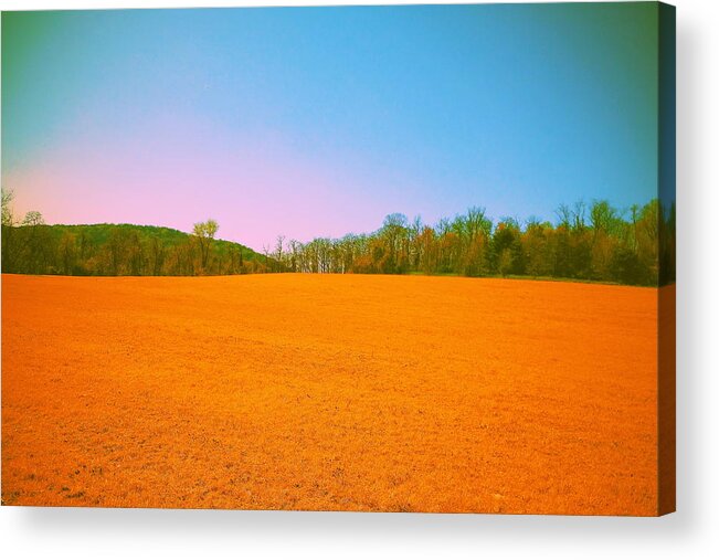 Landscape Acrylic Print featuring the photograph Bright Yellow Field by Paul Kercher