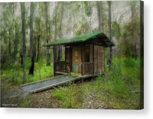 Brimbin Nature Reserve Acrylic Print featuring the photograph Brimbin Nature Reserve 01 by Kevin Chippindall