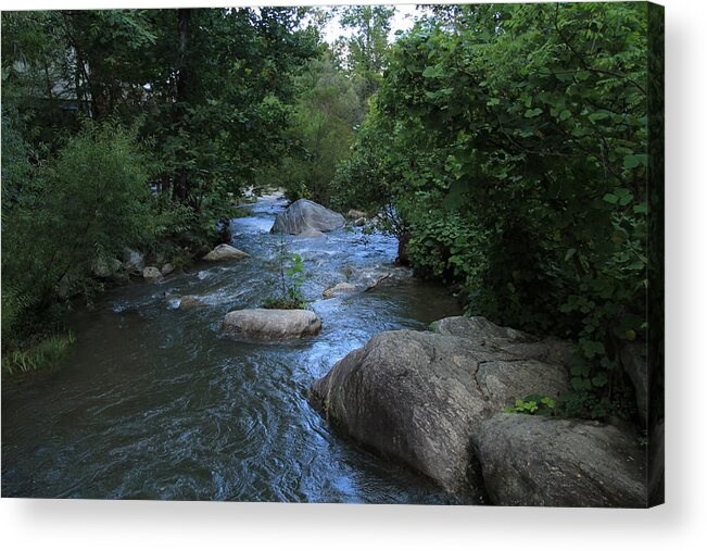 Broad River Acrylic Print featuring the photograph Broad River by Karen Ruhl