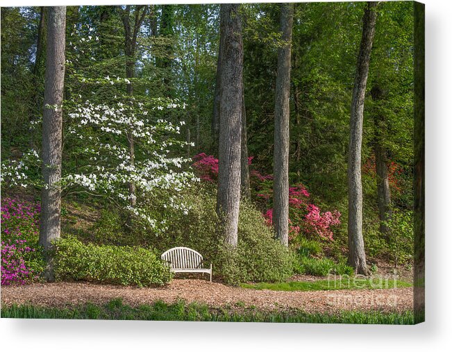 Spring Landscapes Acrylic Print featuring the photograph Brookside Gardens 7 by Chris Scroggins