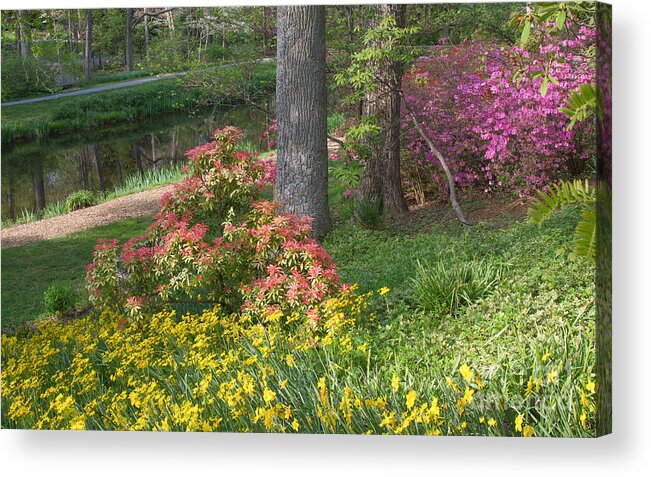 Spring Landscapes Acrylic Print featuring the photograph Brookside Gardens 8 by Chris Scroggins