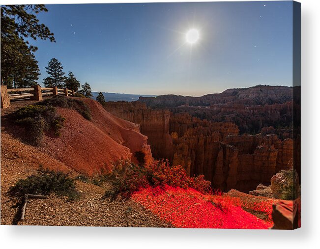 Landscape Acrylic Print featuring the photograph Bryce 4456 by Michael Fryd