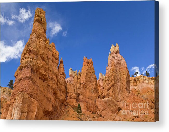 00559157 Acrylic Print featuring the photograph Bryce Canyon Hoodoos by Yva Momatiuk John Eastcontt