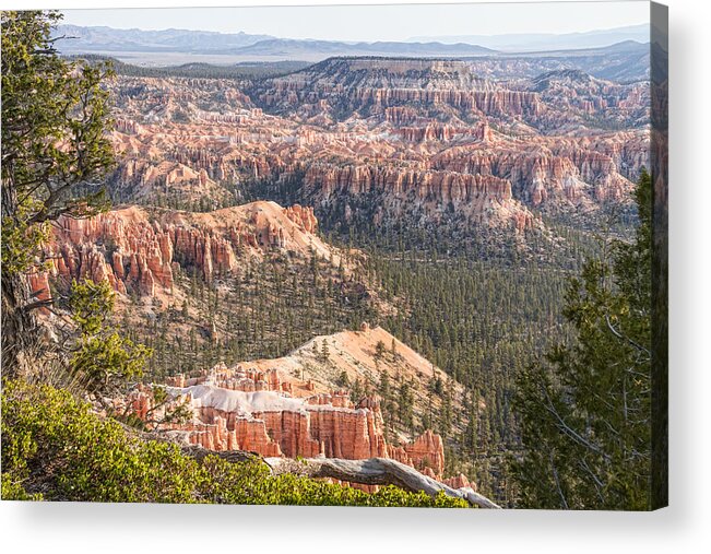 Canyon Acrylic Print featuring the photograph Bryce Canyon National Park Views by James BO Insogna