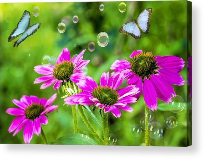 Flowers Acrylic Print featuring the photograph Bubbles and Butterflies by Cathy Kovarik