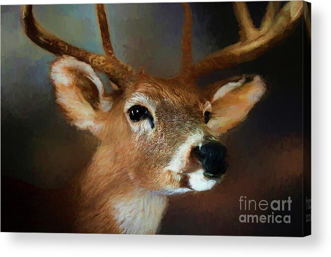 Digital Painting Acrylic Print featuring the photograph Buck by Darren Fisher