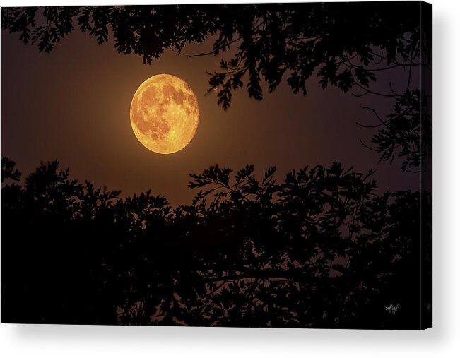 Moon Acrylic Print featuring the photograph Buck Moon 2016 by Everet Regal