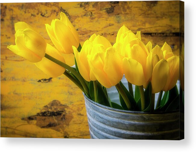 Tulip Acrylic Print featuring the photograph Bucket Of Tulips by Garry Gay