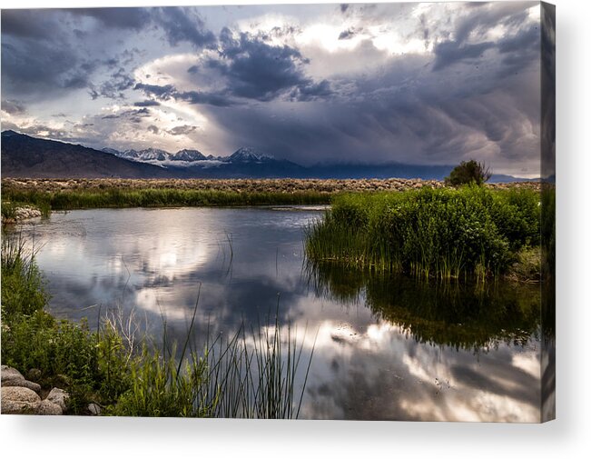 California Acrylic Print featuring the photograph Buckley Ponds by Cat Connor