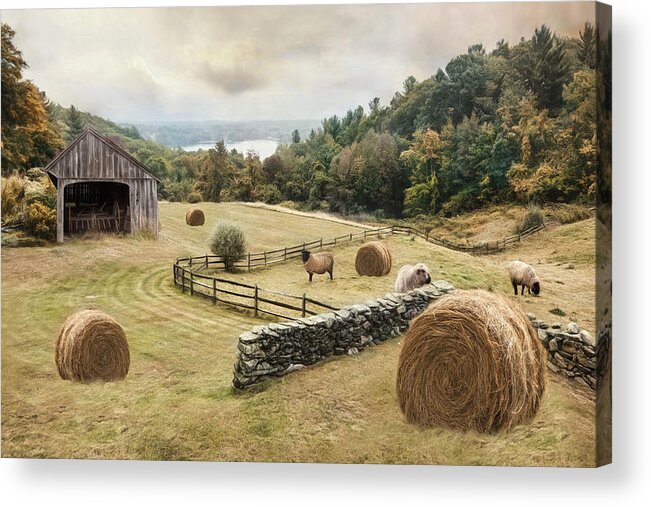 Sheep Acrylic Print featuring the photograph Bucolic by Robin-Lee Vieira