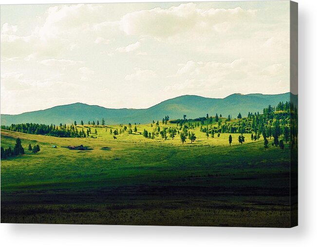 Nature Acrylic Print featuring the painting Bulgan Mongolia by Celestial Images