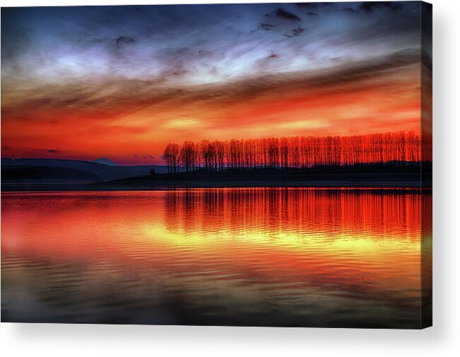 Trees Acrylic Print featuring the photograph Burning Sky by Plamen Petkov