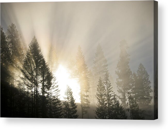 Fog Acrylic Print featuring the photograph Burning through the Fog by Albert Seger