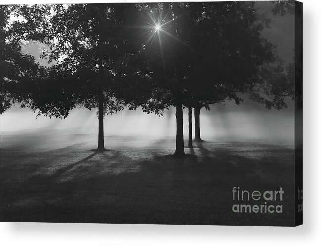 Burst Of Morning Sun Acrylic Print featuring the photograph Burst of Morning Sun by Rachel Cohen