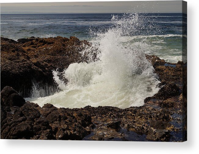 Crashing Wave Acrylic Print featuring the photograph Bursting Forth by Beth Collins