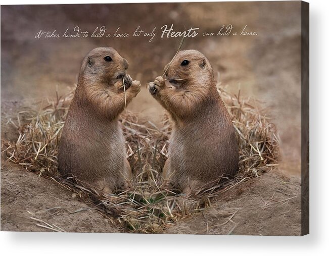 Prairie Dog Acrylic Print featuring the photograph But Only Hearts by Robin-Lee Vieira