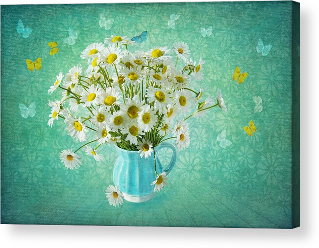 Daisy Acrylic Print featuring the photograph Butterfly Kisses and Flower Petal Wishes by Marina Kojukhova