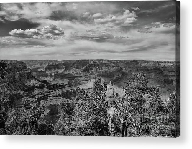 Grand Canyon Acrylic Print featuring the photograph BW Grand Canyon A by Chuck Kuhn