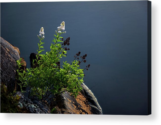 Beautiful Acrylic Print featuring the photograph By The Edge by Peter Scott