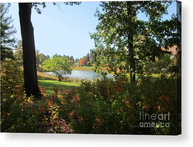 Photography Acrylic Print featuring the photograph By the Lake by Kathie Chicoine