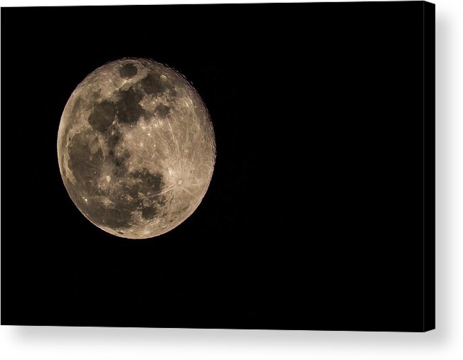  Acrylic Print featuring the photograph By the Light by Terri Hart-Ellis