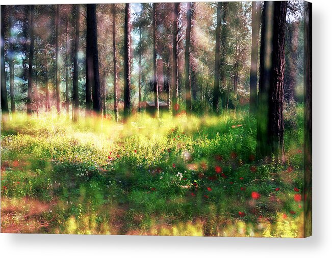 Impressionistic Acrylic Print featuring the photograph Cabin in the woods by Dubi Roman