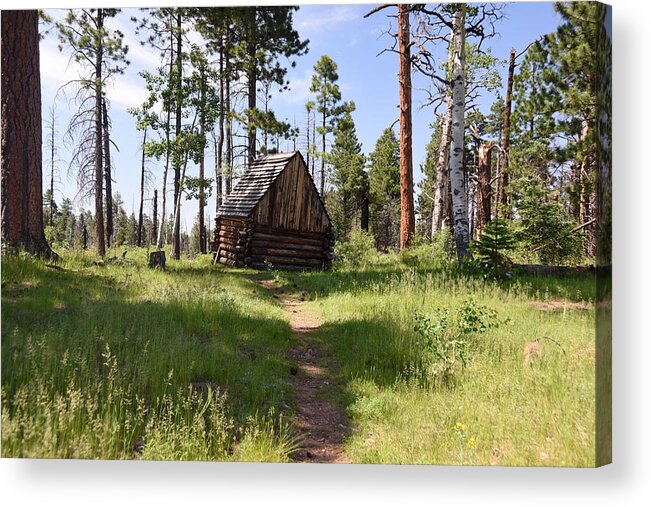 Photograph Acrylic Print featuring the photograph Cabin in the Woods by Richard Gehlbach