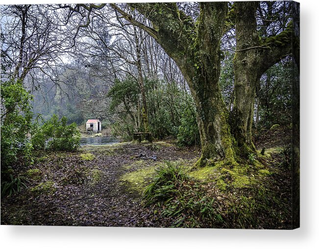 Ireland Acrylic Print featuring the photograph Cabin in the Woods by WAZgriffin Digital