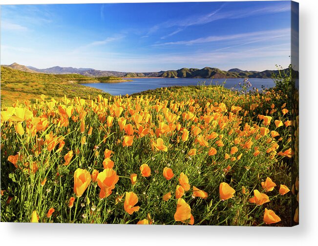Landscapes Acrylic Print featuring the photograph California Dreamin by Tassanee Angiolillo