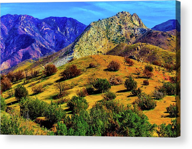 Poppy Acrylic Print featuring the photograph California Hills by Garry Gay
