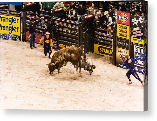 Bull Riding Acrylic Print featuring the photograph Can't Ride Them All by Charles McCleanon