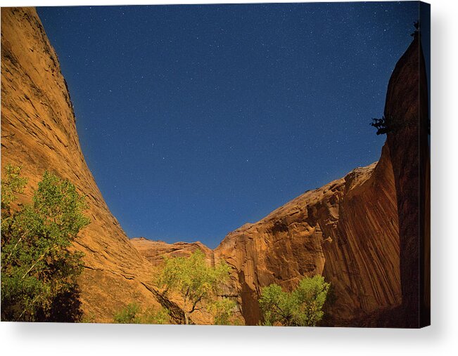 Coyote Gulch Acrylic Print featuring the photograph Canyons and Stars by Kunal Mehra