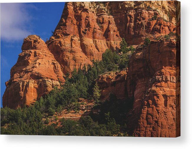 Arizona Acrylic Print featuring the photograph Capitol Butte Details by Andy Konieczny