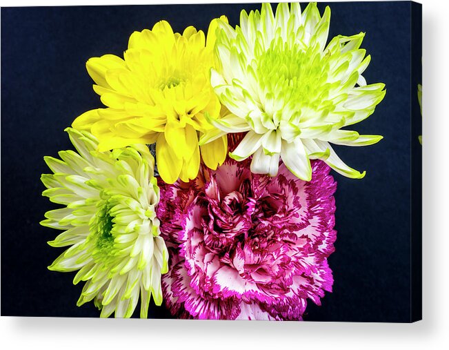 Carnation Acrylic Print featuring the photograph Carnation and Chrysanthemums - aerial view on black. by John Paul Cullen