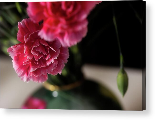 Carnations Acrylic Print featuring the photograph Carnation Series 2 by Mike Eingle