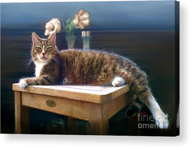 Cat Acrylic Print featuring the painting CARUSO my cat by Angie Braun
