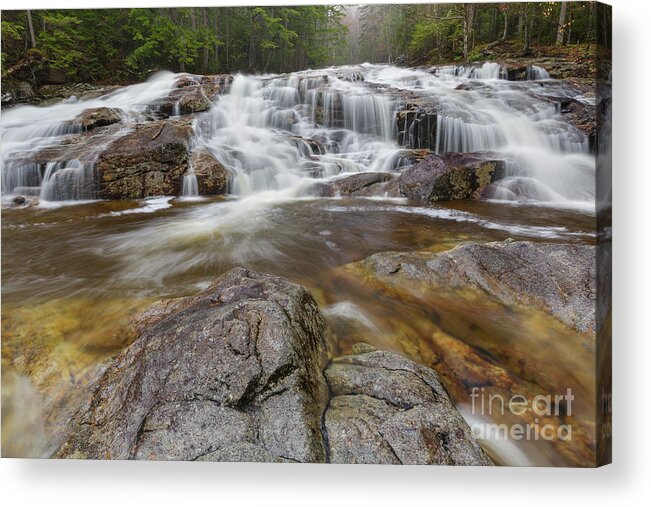 Basin-cascades Trail Acrylic Print featuring the photograph Cascade Brook - Lincoln New Hampshire by Erin Paul Donovan