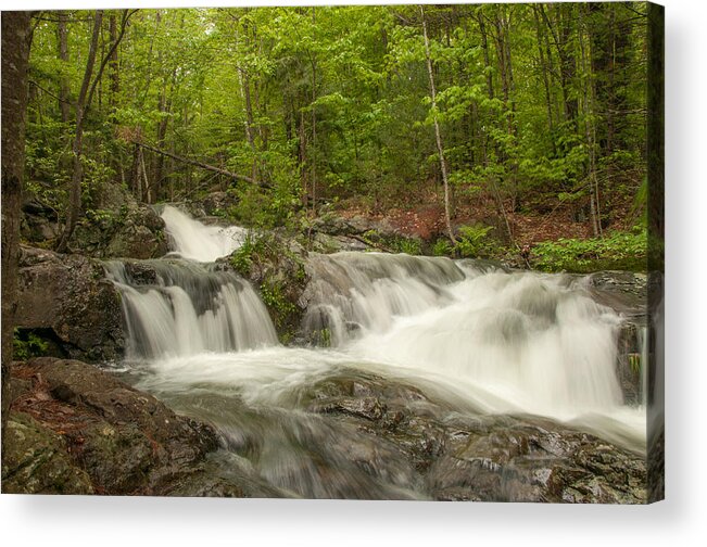 Brook Falls Acrylic Print featuring the photograph Cascades on the Brooks Falls Trail by Brenda Jacobs