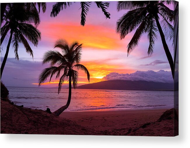 Maui Hawaii Sunset Palmtrees Ocean Fineart Photography Acrylic Print featuring the photograph Cascading Palms by James Roemmling