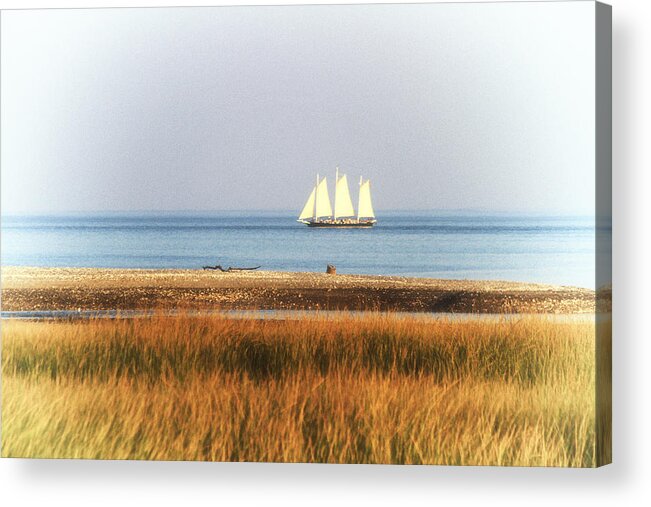 Sailboat Acrylic Print featuring the photograph Cast Away by Karol Livote