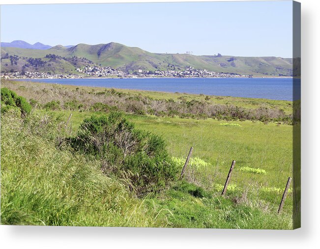 Cayucos Acrylic Print featuring the photograph Cayucos Coastline - California by Art Block Collections