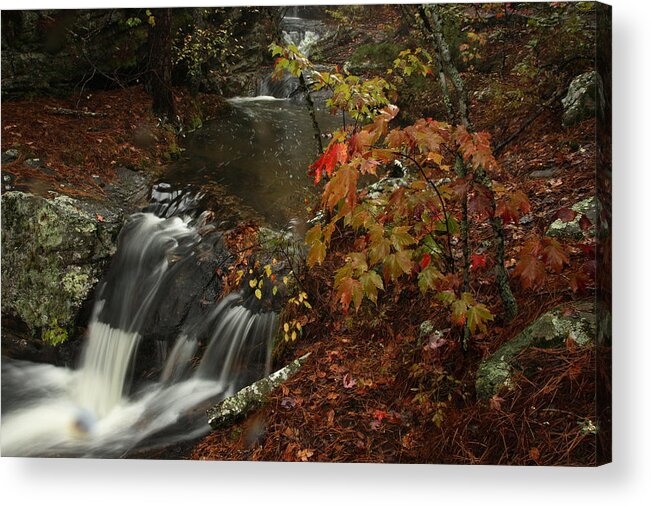 Cecil Cove Acrylic Print featuring the photograph Cecil Cove Runoff by Michael Dougherty
