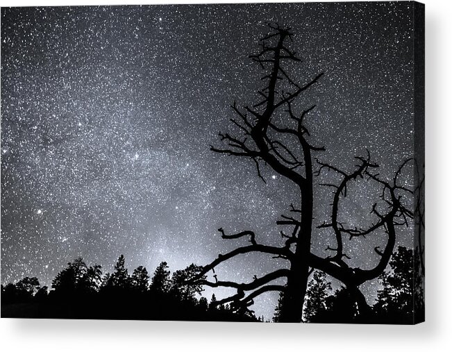 Sky Acrylic Print featuring the photograph Celestial Stellar Dark Universe by James BO Insogna