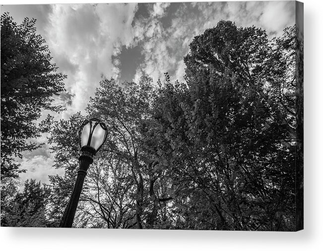 Nyc Acrylic Print featuring the photograph Central Park Lamp and Trees by John McGraw