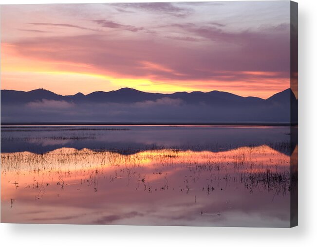 Lake Acrylic Print featuring the photograph Cerknica lake at dawn by Ian Middleton