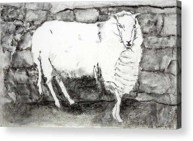  Acrylic Print featuring the painting Charcoal Sheep by Kathleen Barnes